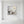 3D Textured Flower Oil Painting | Hand-Painted Canvas Art #SS024