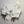A close-up of a hand-painted 3D textured white flower oil painting with thick impasto petals and gold leaf details on a minimalist gray background.