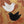 Textured Pair of Birds Hand-Painted Gold Abstract Oil Painting #SS216