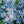 Handmade Abstract Blue Hydrangea Impasto Floral Oil Painting #TC033