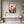 Modern Boho Floral Wall Art for Living Room Decor #SS249