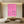 Handmade Abstract Pink Ocean Swimmer Canvas Painting #SS256