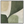 Beige-&-Green-Abstract-Wall-Art-black-frame-02.webp