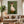 A 100% handmade modern expressionist oil painting of a cute white duck with orange feet standing on a dark green pedestal, balancing three vintage hardback books on its head against a textured moss green background.