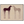 Stargazer Horses Minimalist Canvas Art #NM512