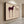 Stargazer Horses Minimalist Canvas Art #NM512