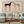 Stargazer Horses Minimalist Canvas Art #NM512