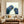 Handmade Expressive Funny Pigeons Impasto Animals Canvas Wall Art #TC047