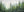 3D Textured Emerald Forest Fog Hand-Painted Abstract Pine Tree Art #SS072
