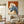Hand-painted textured oil painting featuring a close-up profile of a cream-colored horse and a dark grey horse side-by-side against a solid rust-red background.