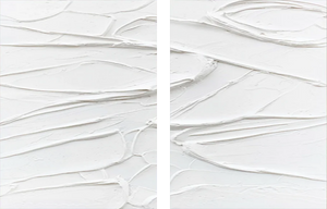 White Textured Plaster Art 2-Piece Set 3D Minimalist Wall Art #SS103