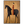 Stylized Equestrian Journey: Woman on Horseback Oil Painting #NM276