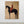 Abstract Rider on Horse Handmade Oil Painting #NM277