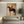 Abstract Rider on Horse Handmade Oil Painting #NM277