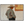 Contemplative Man in Hat Textured Oil Painting #NM335