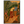 Tropical Journey Abstract Canvas Art #NM450