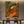 Tropical Journey Abstract Canvas Art #NM450