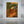 Tropical Journey Abstract Canvas Art #NM450