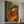 Tropical Journey Abstract Canvas Art #NM450