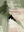 Modern Olive Green Fluid Geometric Shapes Canvas Art #SS163