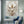 Handmade Modern Textured White and Gold Calla Lily Canvas Art #TC025