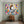 colorful-snoopy-pop-art-for-Vintage-Corner-08.webp