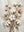 Modern Gold Leaf Floral Canvas Wall Art for Living Room #SS194