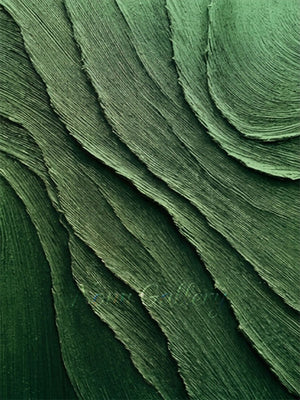 Modern Forest Green Textured Abstract Canvas #SS198