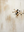 Handmade Minimalist Abstract Earth Tone Canvas Wall Art #TC002
